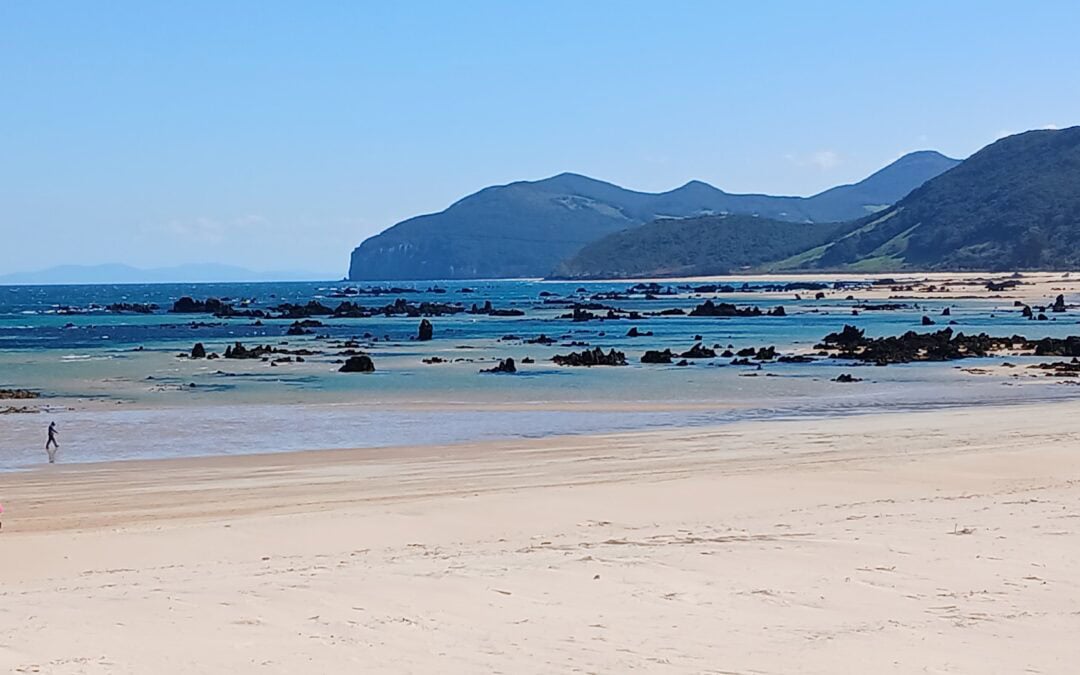 Grüner Korridor in Nordspanien – Ökotourismus neu gedacht