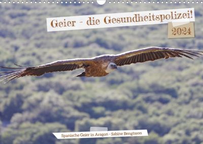 Geierkalender