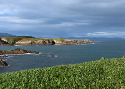 A Marina Lucense Galicia LFrechilla 1