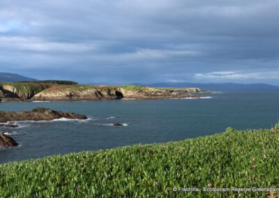 A Marina Lucense Galicia LFrechilla