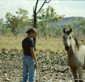 Brumby Wildpferd in Australien bei Begegnung mit Sabine Bengtsson