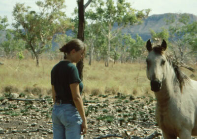 Brumby Wildpferd in Australien bei Begegnung mit Sabine Bengtsson