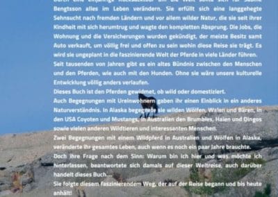Buch Rückseite Gefährte Pferd Sabine Bengtsson 1