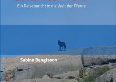Buch Vorderseite Gefährte Pferd Sabine Bengtsson