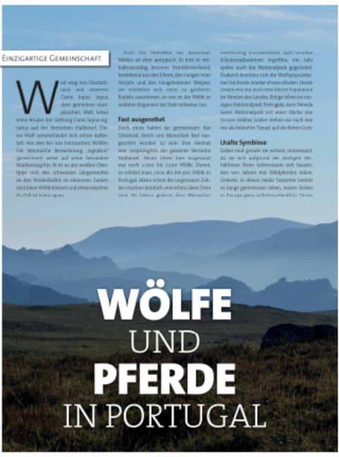 Wölfe und Pferde in Portugal-Artikel von Sabine Bengtsson im Magazin „Der Hund“