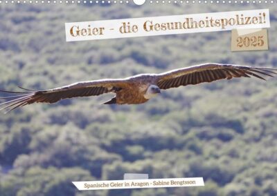 Geierkalender