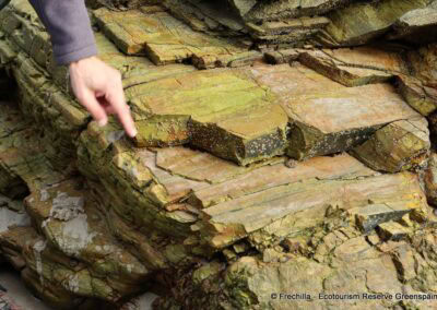 Geology guide LFrechilla