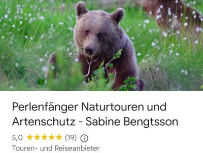 Google Bewertungen Perlenfaenger Intro Bild1 Google Bewertungen Perlenfaenger Intro Bild1
