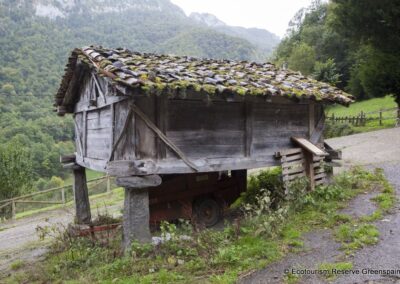 Horreo beyusco Viboli ponga Luis Frechilla