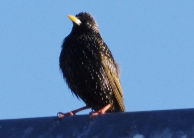 IMGP0820