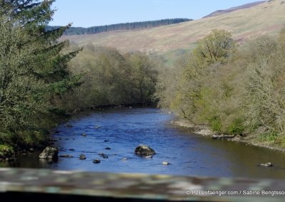 IMGP0994