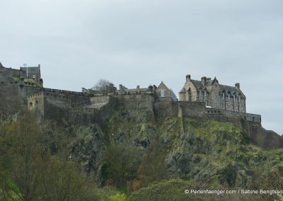 IMGP1459