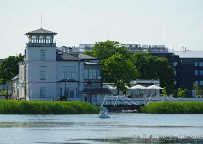 IMGP1969