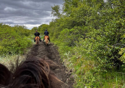Island Hekla perlenfaenger 1