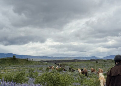 Island Hekla perlenfaenger 4