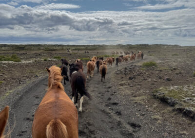 Island Hekla perlenfaenger 5