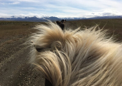 Island Ritt Gletscher Meike perlenfaenger 18