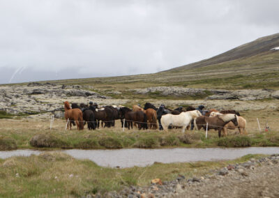 Island Ritt Gletscher Meike perlenfaenger 6