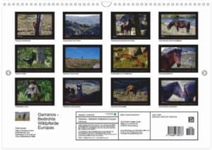 Kalendervorschau Perlenfaenger.com Wildpferde Garranos 2016