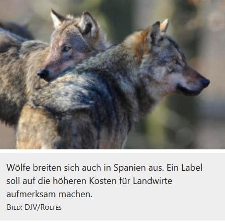 Spanien startet Label „Beweidung mit Wolf“