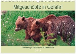 Mitgeschöpfe Titelblatt