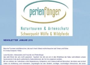 Newsletter Perlenfaenger