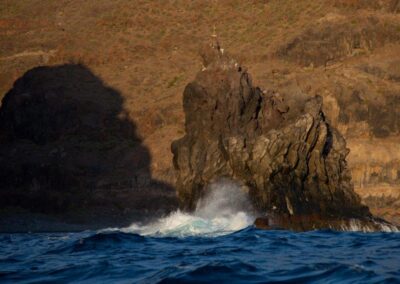 La Gomera Reise – Delfine, Wale und Natur intensiv erleben 17 Oceano Gomera Wale perlenfaenger 3