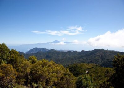 La Gomera Reise – Delfine, Wale und Natur intensiv erleben 18 Oceano Gomera Wale perlenfaenger 4