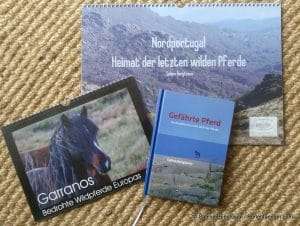 Perlenfaenger Kalender Buch wildpferde Sabine Bengtsson
