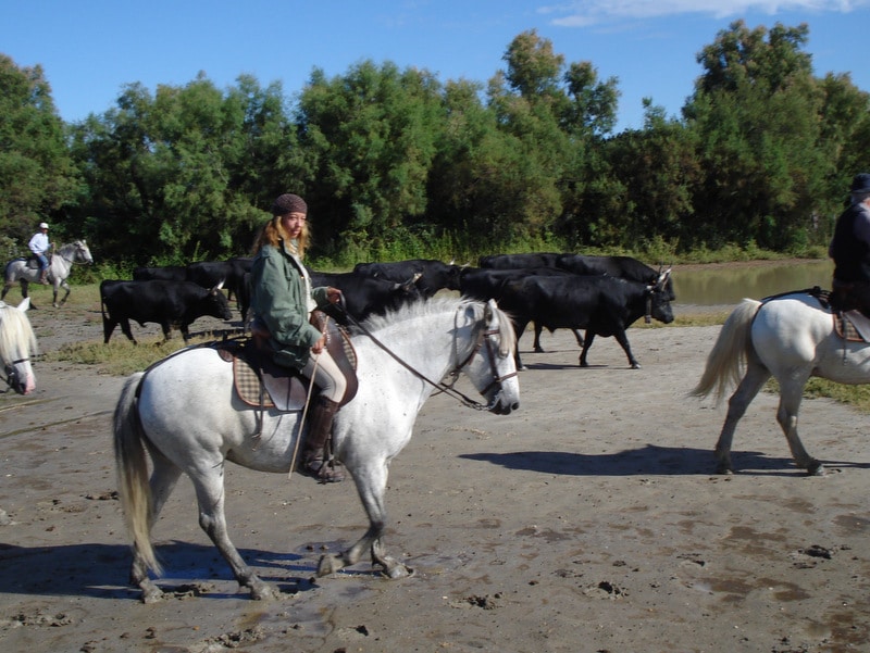 Perlenfaenger Reiten Stiere Camargue Sabine Bengtsson