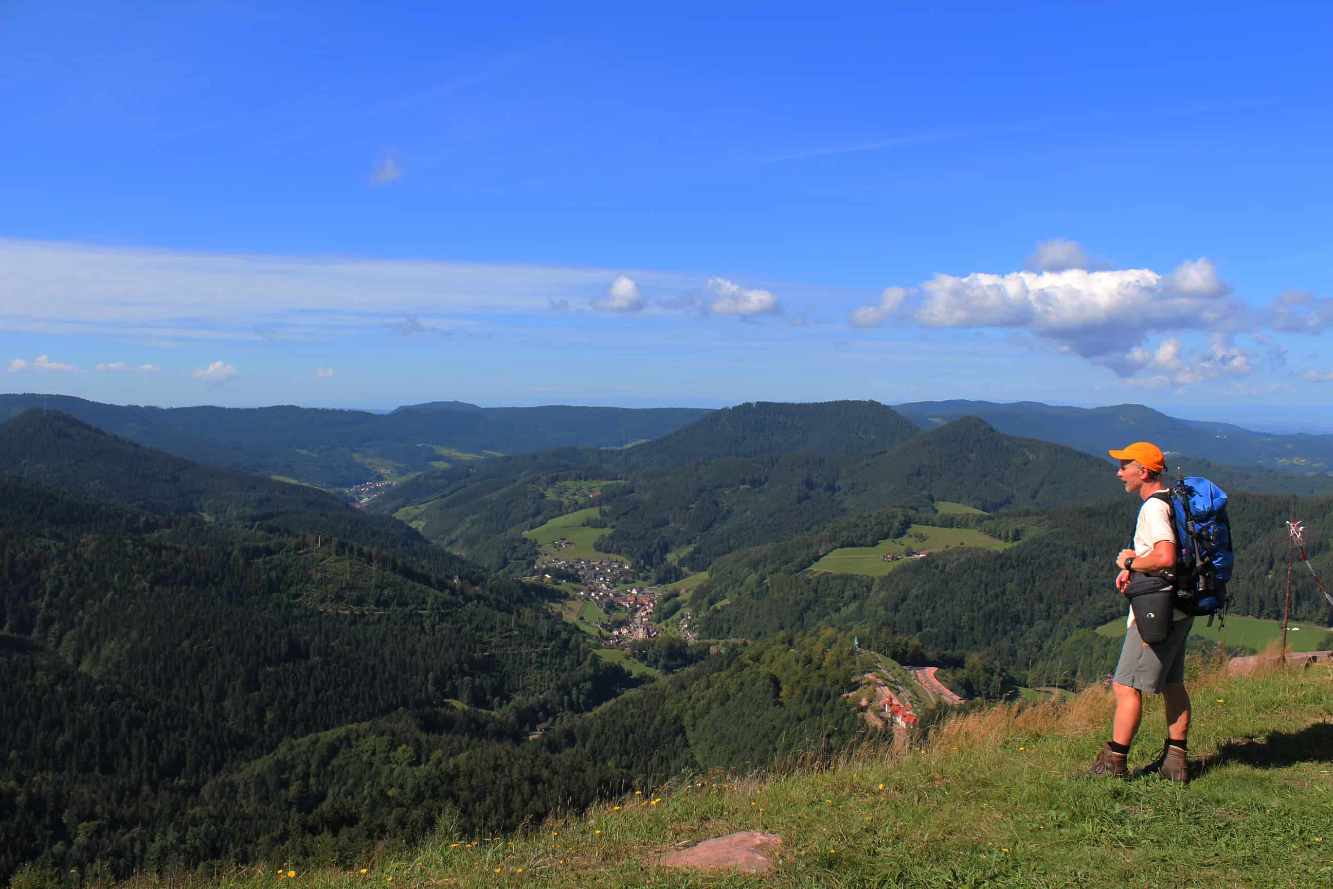 Pioniere gesucht – Pionierexkursion 2016 in die Urwälder der Ukraine mit Biologen Peter Sürth in Planung!!!