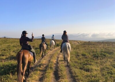 Reiturlaub Portugal Reiten lernen 22
