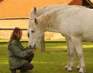 Sabine Bengtsson my own horses