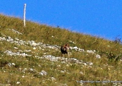 Sabine Bengtsson Abruzzen Italien 09 50