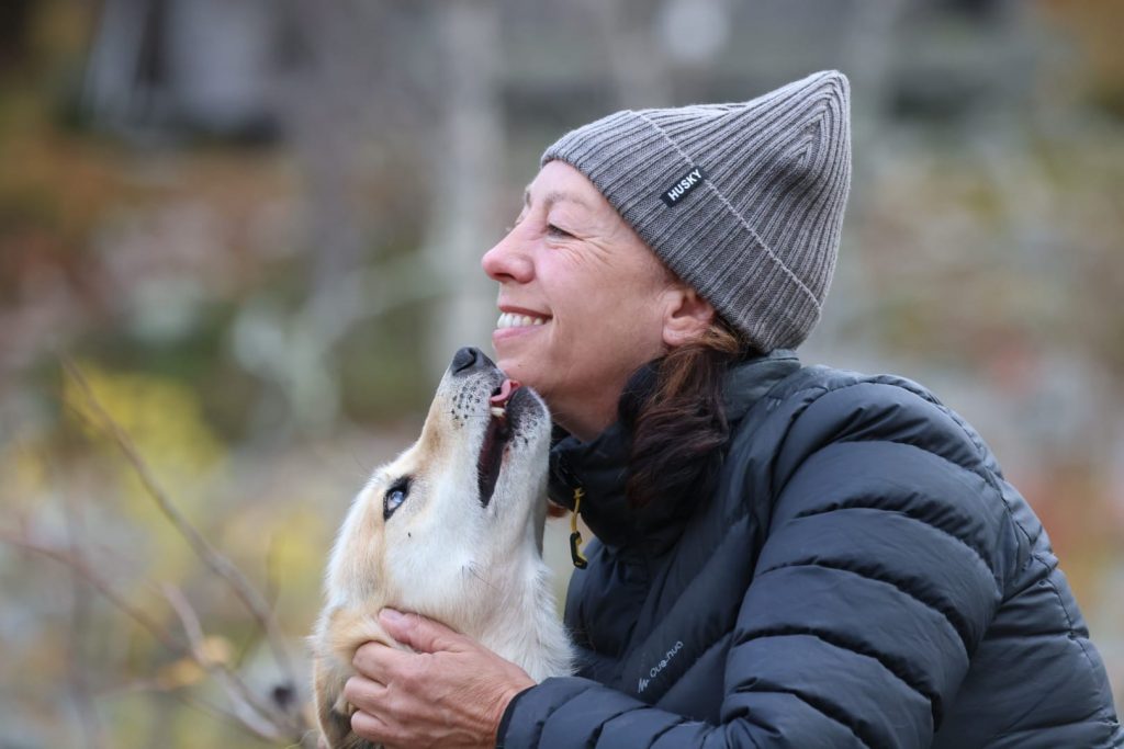 Reisen mit Hund