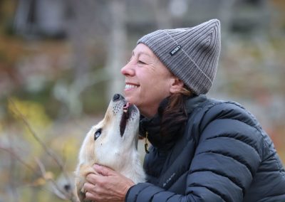 Reisen mit Hund