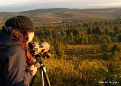 Sabine Bengtsson Zamora 21