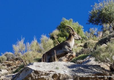 Sierra Nevada Andalusien Reisebericht Sabine Bengtsson Tg2 10