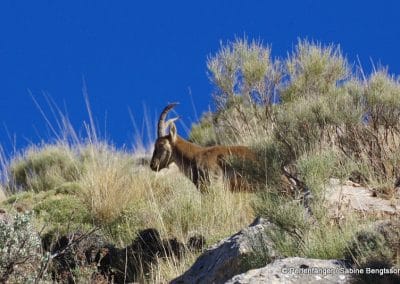 Sierra Nevada Andalusien Reisebericht Sabine Bengtsson Tg2 11