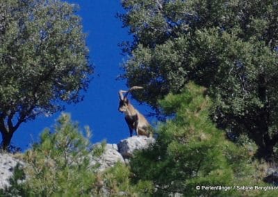 Sierra Nevada Andalusien Reisebericht Sabine Bengtsson Tg2 23