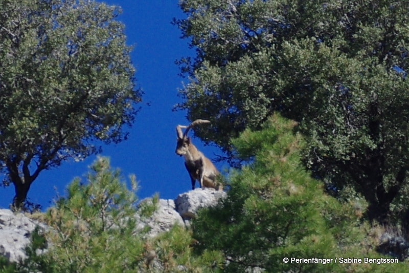 Sierra Nevada Andalusien Reisebericht Sabine Bengtsson Tg2 23