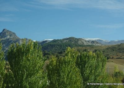 Sierra Nevada Andalusien Reisebericht Sabine Bengtsson Tg2 25