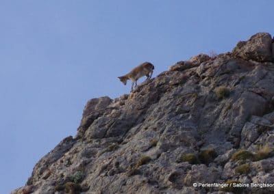 Sierra Nevada Andalusien Reisebericht Sabine Bengtsson Tg2 50