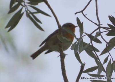 Sierra Nevada Andalusien Reisebericht Sabine Bengtsson Tg3 32