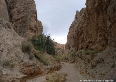 Sierra Nevada Andalusien Reisebericht Sabine Bengtsson Tg4 46