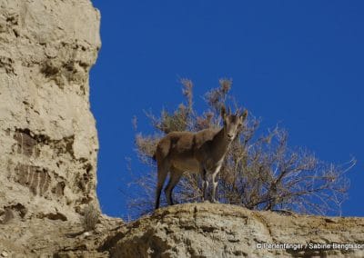 Sierra Nevada Andalusien Reisebericht Sabine Bengtsson Tg5 23