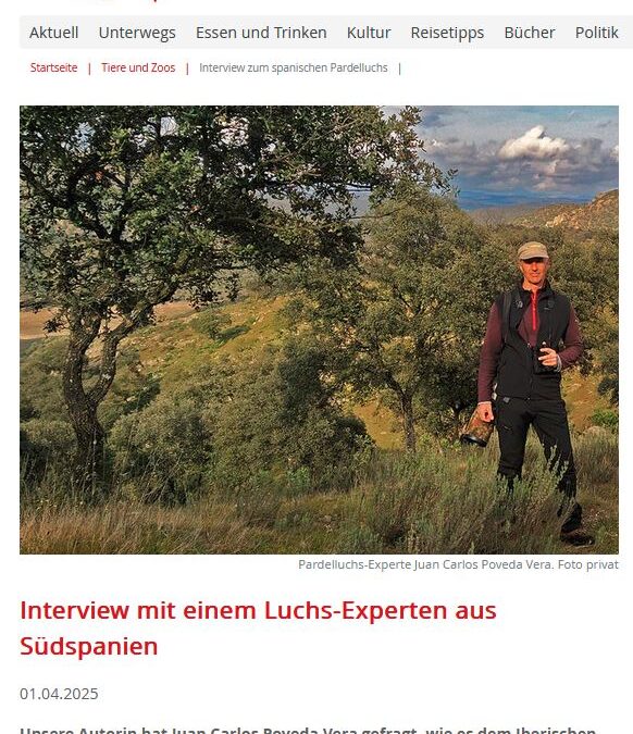 Iberische Luchse – erfolgreicher Artenschutz – Interview