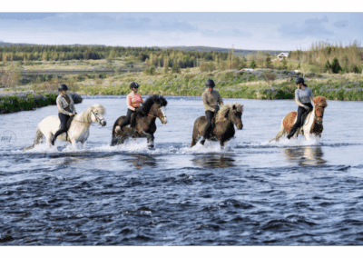 Suedritt Island Perlenfaenger 1