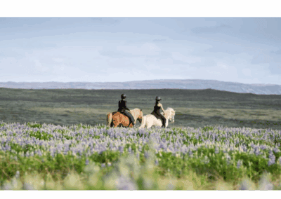 Suedritt Island Perlenfaenger 5