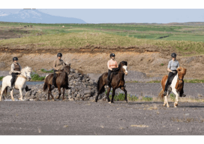 Suedritt Island Perlenfaenger 6